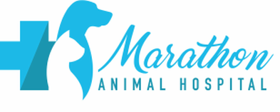 Marathon Animal Hospital